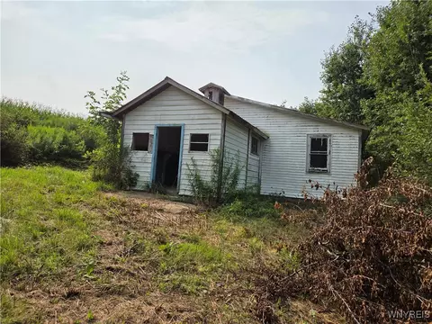 Chicken Road, Leon, NY 14751