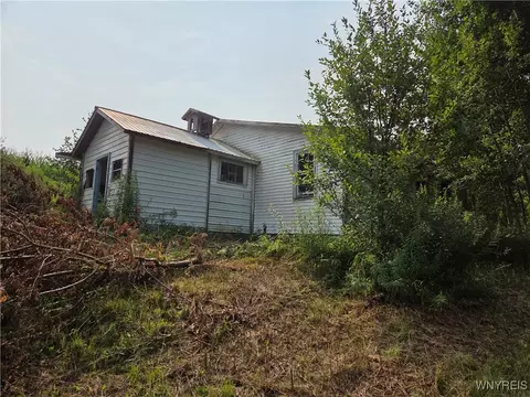 Chicken Road, Leon, NY 14751 photo 2