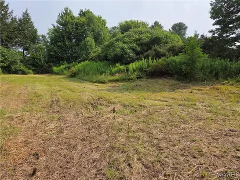 Chicken Road, Leon, NY 14751 photo 4