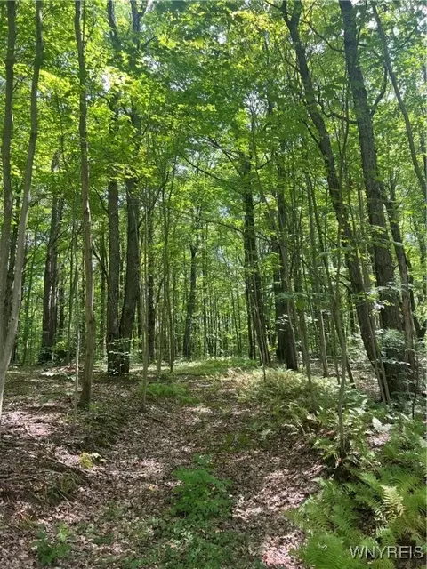 Pleasant Valley Road, Yorkshire, NY 14042