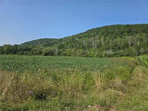 Martin Road, Great Valley, NY 14741