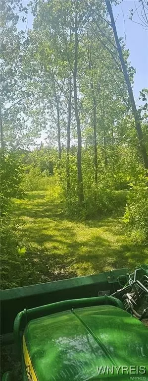3719 Mapleton Rd, Wheatfield, NY 14132 photo 3
