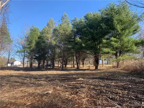 9164 Gowanda State Rd, Eden, NY 14057