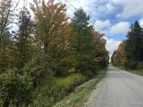 3436 Dunham Rd, Orangeville, NY 14569