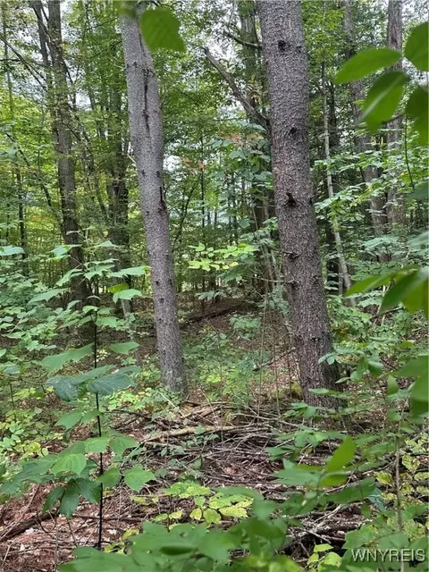 Sullivan Hollow Extension, Great Valley, NY 14741