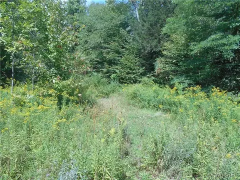 0 Cheeseman Hill Rd, Freedom, NY 14065