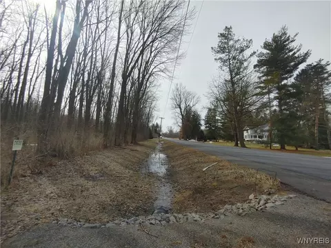 Murdock Road, Ridgeway, NY 14103 photo 4