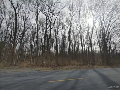 Murdock Road, Ridgeway, NY 14103