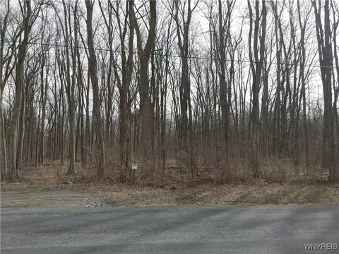 Murdock Road, Ridgeway, NY 14103 photo 2