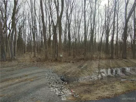 Murdock Road, Ridgeway, NY 14103 photo 3