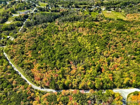 Old Buffalo Road, Orangeville, NY 14569