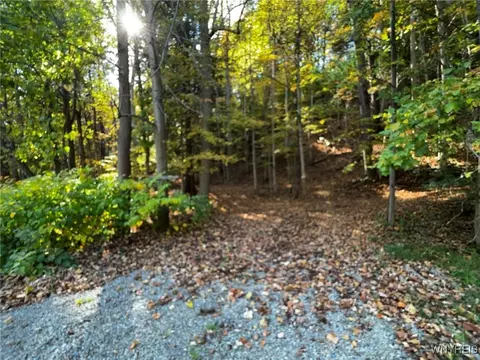 10051 Route 62, Persia, NY 14070