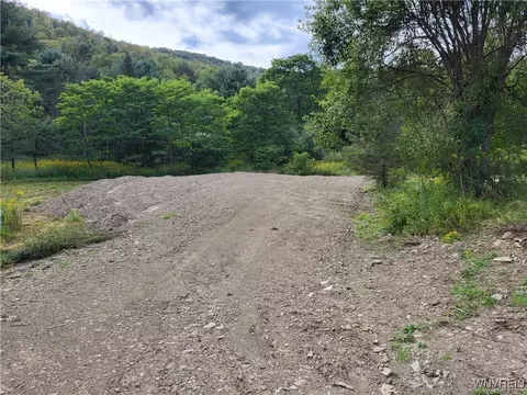 lot A Porter Hollow Rd, Great Valley, NY 14741