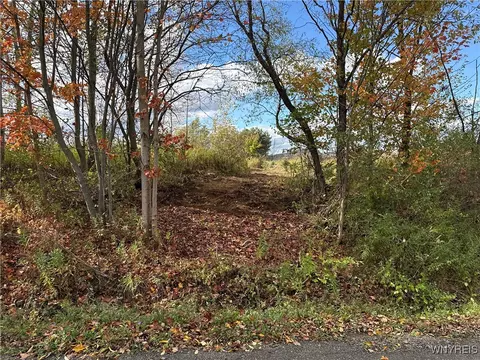 California Hill Road, Mansfield, NY 14755
