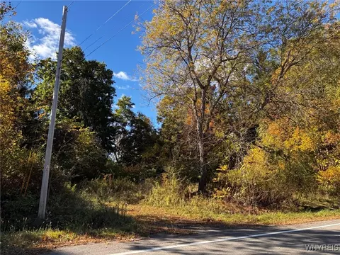 2295 Gowanda Zoar Rd, Collins, NY 14070