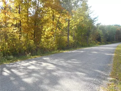 Irish Hill Road, Ellicottville, NY 14731