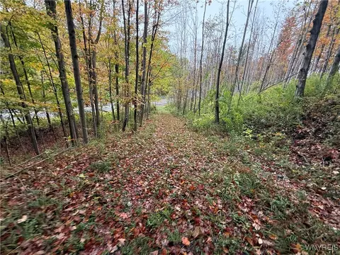 10987 Snyder Rd, Concord, NY 14141
