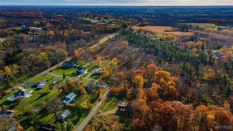Beechwood Road, Evans, NY 14006 photo 9