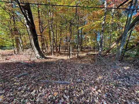0 Stainton Dr, Hamburg, NY 14075