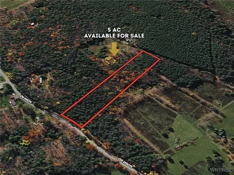 00 Bruce Porn Rd, Gilboa, NY 12167