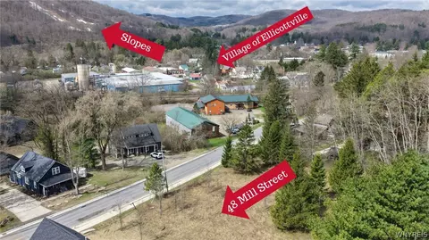 48 Mill St, Ellicottville, NY 14731