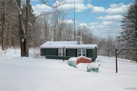 7730 Irish Hill Rd, West Valley, NY 14171