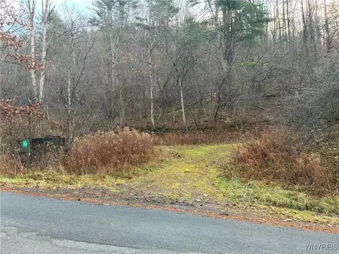 0 Alma Hill Rd, Alma, NY 14895