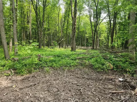 Lake Shore Road, Evans, NY 14006