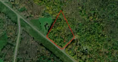 lot20 Forest Ln, Andes, NY 13731