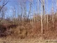 5338 Bryant Hill Rd, Ellicottville, NY 14731