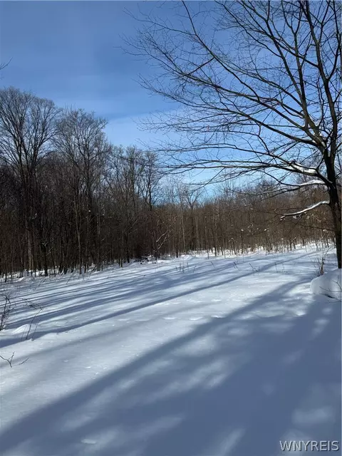 V/l Syler Road, Orangeville, NY 14569