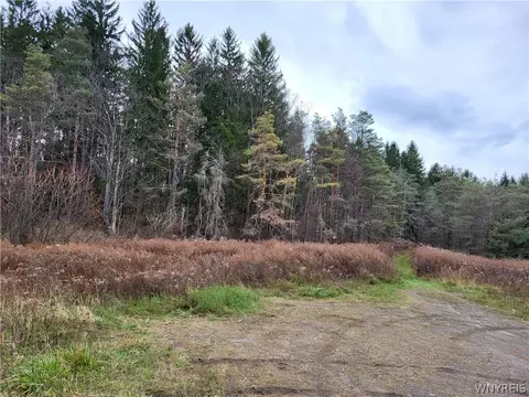 Us Route 219, Ellicottville, NY 14731