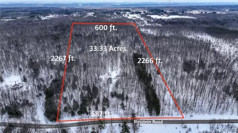 Bleistein Road, Colden, NY 14033