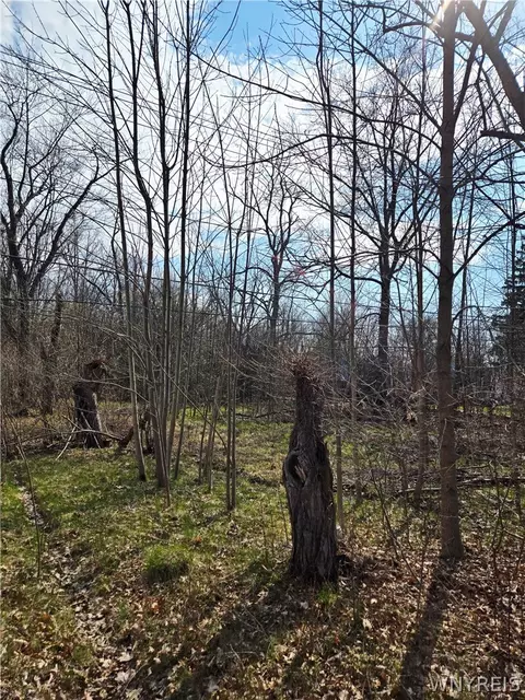 3312 Love Rd, Grand Island, NY 14072