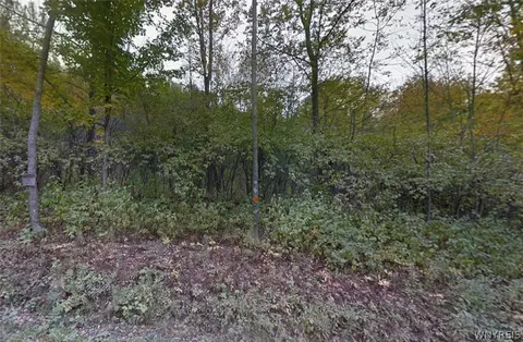 00 Buddle Rd, Richfield, NY 13439