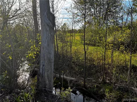 2330 Ridge Rd, Lewiston, NY 14092