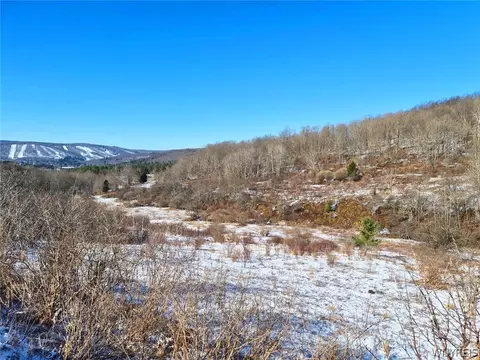 6801 Horn Hill Rd, Ellicottville, NY 14731
