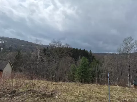 6843 Springs Rd, Ellicottville, NY 14731