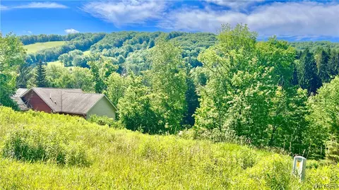 6843 Springs Rd, Ellicottville, NY 14731