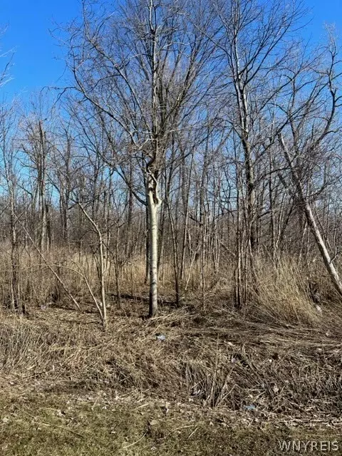 0 Wilson Ave S, Lancaster, NY 14086