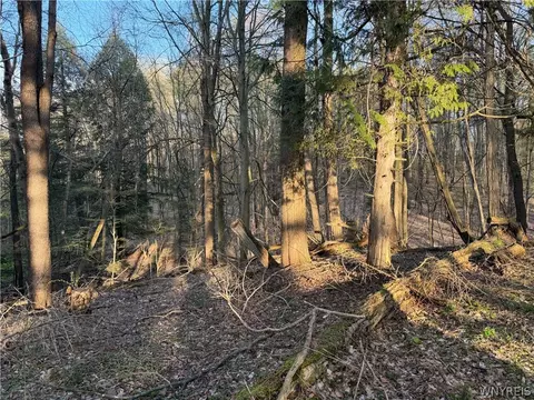 00 Pit Rd, Java, NY 14082 photo 9