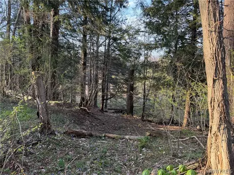 00 Pit Rd, Java, NY 14082 photo 8