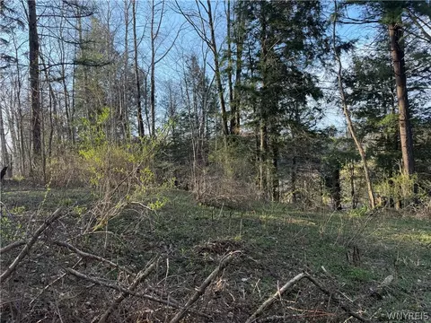 00 Pit Rd, Java, NY 14082 photo 4