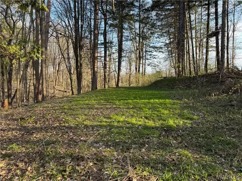 00 Pit Rd, Java, NY 14082 photo 6