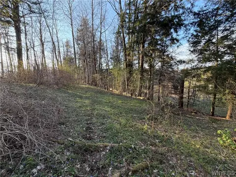 00 Pit Rd, Java, NY 14082 photo 3