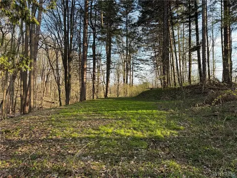 00 Pit Rd, Java, NY 14082