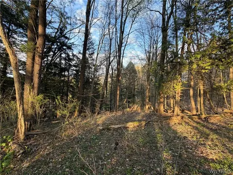 00 Pit Rd, Java, NY 14082 photo 5