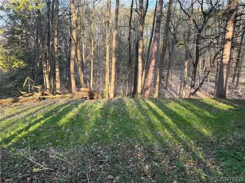 00 Pit Rd, Java, NY 14082 photo 2