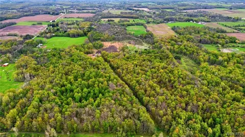 Beaver Road, Alexander, NY 14005 photo 15