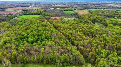 Beaver Road, Alexander, NY 14005 photo 19